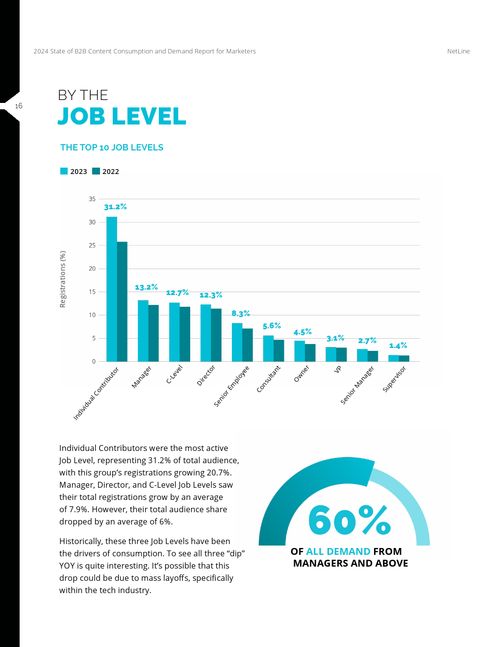 Netline 2024年B2B內容使用與需求報告 數字文化創意內容應用服務的變革與機遇